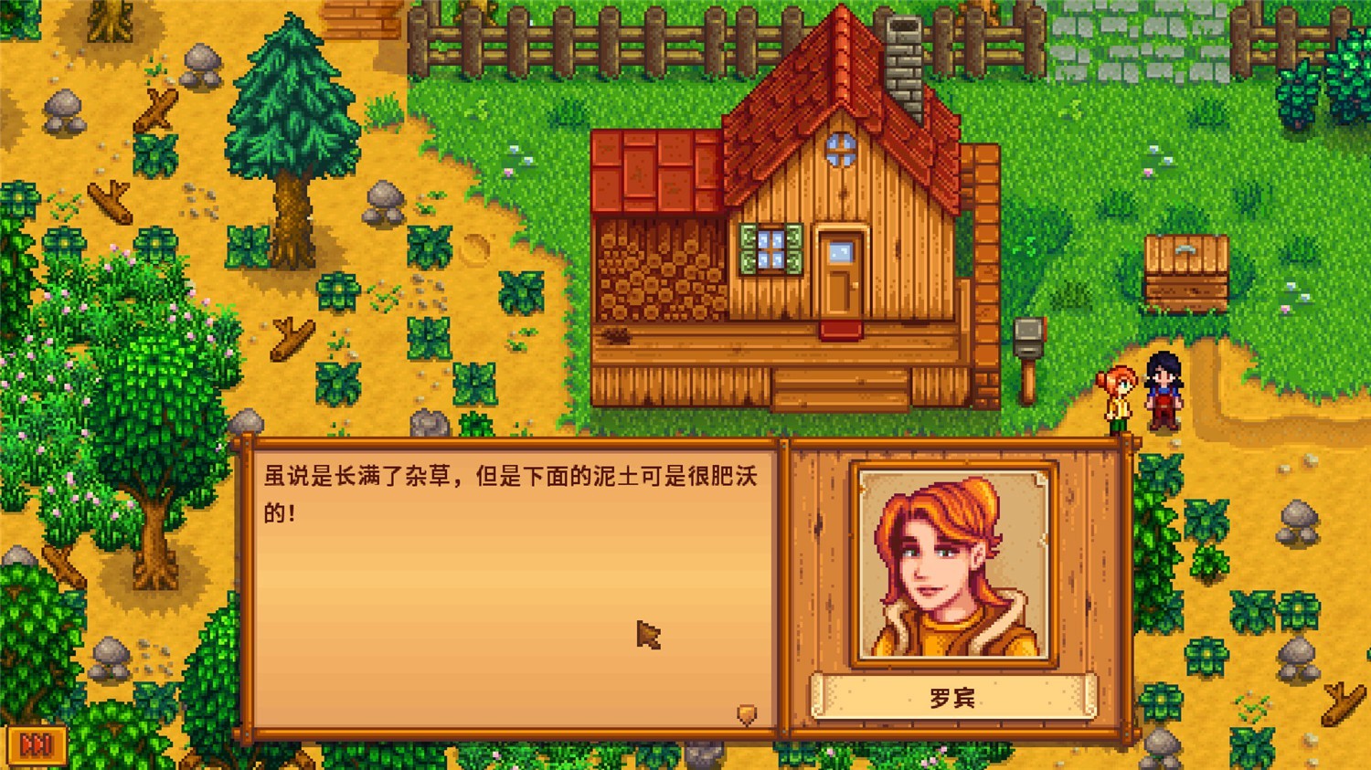 星露谷物语/Stardew Valley