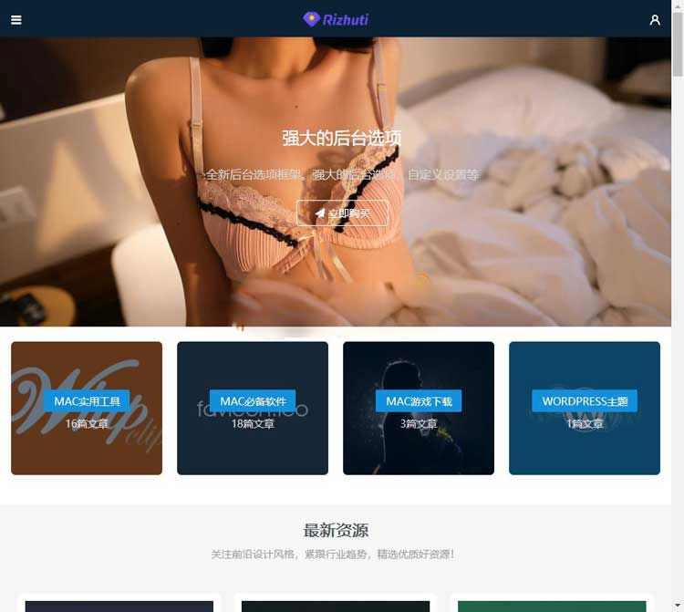 WordPress高端日主题Rizhuti3.2免授权版虚拟资源下载网站源码-何以博客
