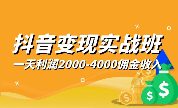 抖音变现实战班，一部手机就可以解决问题，日入3000也真的不是梦！-何以博客