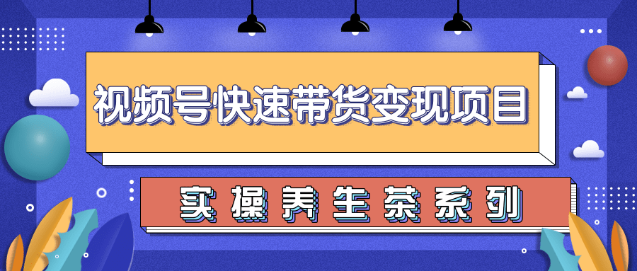 视频号带货实操变现项目，零基础操作养身茶月入10000+-何以博客