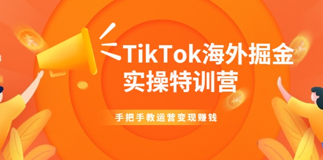 TikTok海外掘金实操特训营：手把手教运营变现赚钱-何以博客