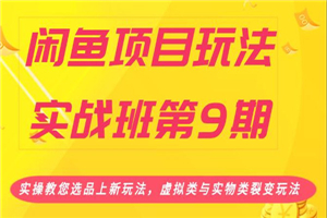 闲鱼项目玩法实操教程 教您选品上虚拟类与实物类裂变玩法-何以博客