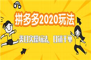 拼多多2020最新类目实操玩法教程 玩转直通车轻松操作到日销千单爆款-何以博客