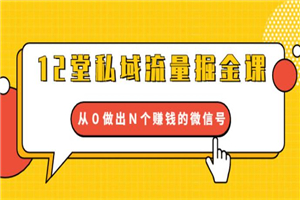 12堂私域流量掘金课：从0做出N个赚钱的微信号【完结】-何以博客