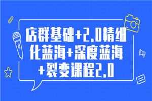 孤狼电商店群全套教程：店群基础+2.0精细化蓝海+深度蓝海+裂变课程2.0-何以博客