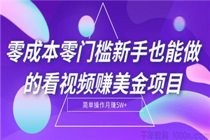 零成本零门槛新手也能做的看视频赚美金项目-何以博客