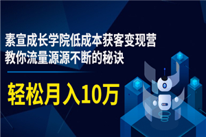 素宣成长学院低成本获客变现营，教你流量源源不断的秘诀，轻松月入10万-何以博客