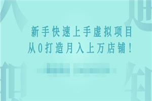 2022年虚拟项目实战指南，新手从0打造月入上万店铺-何以博客