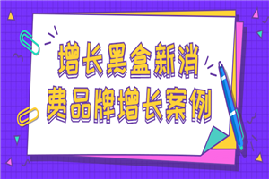 增长黑盒新消费品牌增长案例-何以博客