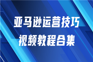 亚马逊运营技巧视频教程合集-何以博客