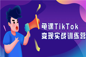 龟课TikTok变现实战训练营-何以博客