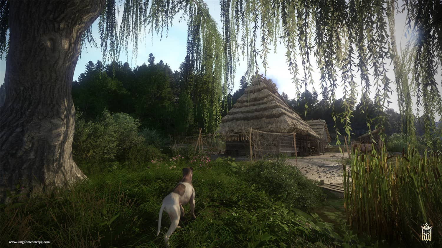 天国：拯救,天国拯救,Kingdom Come: Deliverance