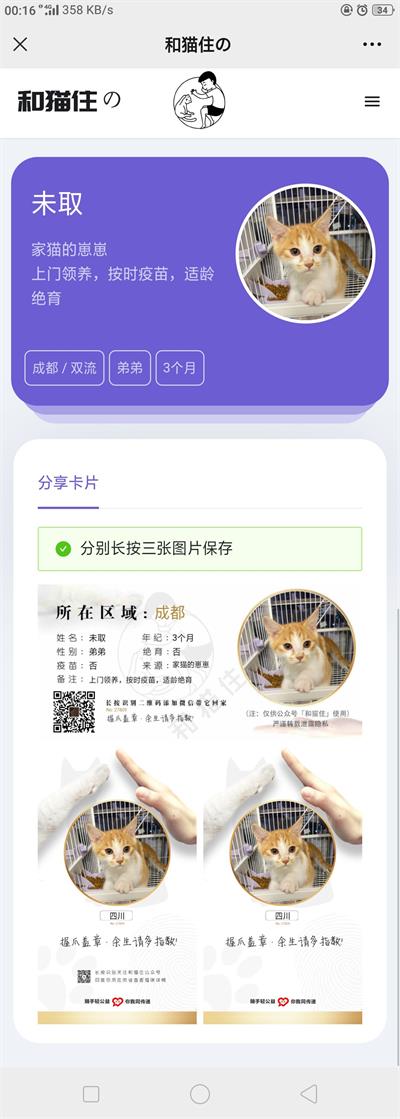 流浪猫流浪狗宠物领养平台H5源码 Thinkphp5内核-何以博客