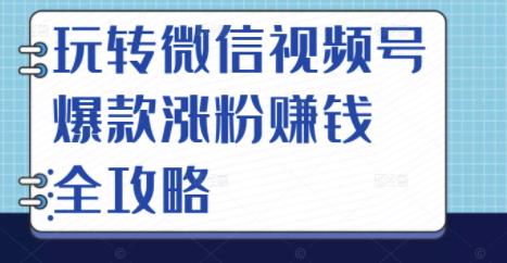 玩转微信视频号爆款涨粉赚钱全攻略，让你快速抓住流量风口，收获红利财富-何以博客