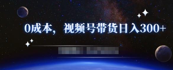 零基础视频号带货赚钱项目，0成本0门槛轻松日入300+【视频教程】-何以博客