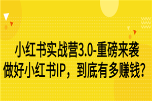 小红书实战营3.0-重磅来袭：做好小红书IP，到底有多赚钱？（价值7999元）-何以博客