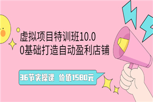 虚拟项目特训班10.0，0基础打造自动盈利店铺 36节实操课 价值1580元-何以博客