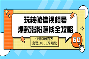 玩转微信视频号爆款涨粉赚钱全攻略，快速涨粉百万 变现10000万-何以博客