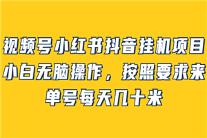 视频号小红书抖音挂机项目，小白无脑操作，按照要求来，单号每天几十米-何以博客