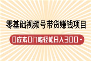 零基础视频号带货赚钱项目，0成本0门槛轻松日入300+-何以博客