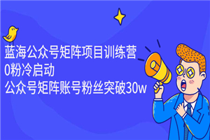 蓝海公众号矩阵项目训练营，0粉冷启动，公众号矩阵账号粉丝突破30w-何以博客