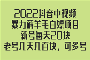 2022抖音中视频暴力薅羊毛白嫖项目：新号每天20块，老号几天几百块，可多号-何以博客