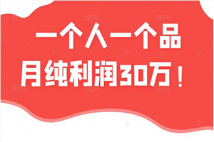 一个人一个品月纯利润30万的蓝海电商经典案例！-何以博客