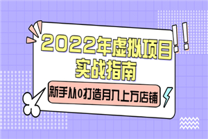 2022年虚拟项目实战指南，新手从0打造月入上万店铺-何以博客