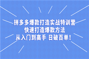 拼多多从入门到高手，爆款实战训练营日破百单-何以博客