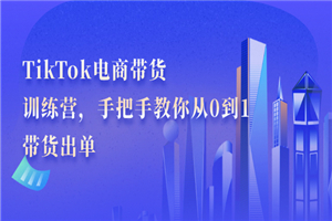 TikTok电商带货训练营，手把手教你从0到1带货出单-何以博客