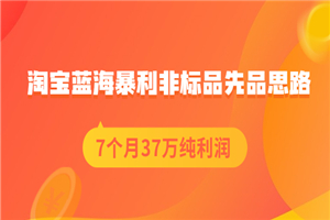 淘宝蓝海暴利非标品先品思路，7个月37万纯利润，压箱干货分享-何以博客