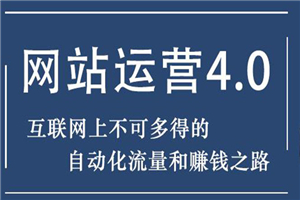 暴疯团队网站赚钱项目4.0:网站运营与盈利，实现流量与盈利自动化的赚钱之路-何以博客