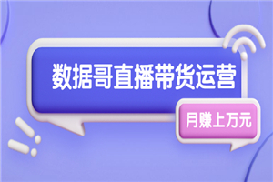 数据哥直播带货运营线上进阶课，让普通人也能靠直播月赚上万元-何以博客