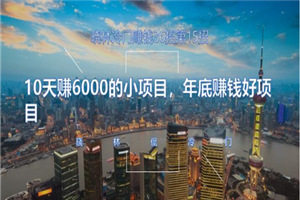 晓林冷门赚钱第15招10天赚6000的小项目，年底赚钱好项目-何以博客