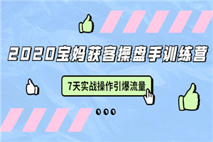 2020宝妈获客操盘手训练营：7天实战操作引爆 母婴、都市、购物宝妈流量-何以博客