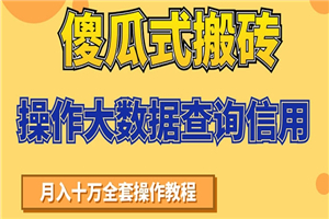 傻瓜式搬砖操作大数据查询信用赚钱方法：助你快速月入6万全套操作教程-何以博客