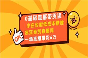 0基础直播带货课：小白也能低成本搭建疯狂卖货直播间：1场直播带货6万-何以博客