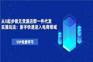 从0起步做无货源店群一件代发实操玩法：新手快速进入电商领域（40节视频）-何以博客