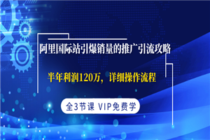 阿里国际站引爆销量的推广引流攻略，半年利润120万，详细操作流程-何以博客