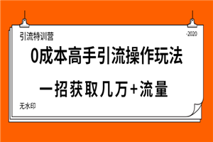 引流特训营：0成本高手引流操作玩法，一招获取几万+流量-何以博客