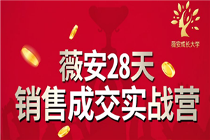 薇安28天销售成交实战营，5分钟成交3万，实现了月入近6位数的营收-何以博客