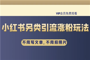 雨果：不用写文章，不用拍照片，小红书另类引流涨粉玩法-何以博客