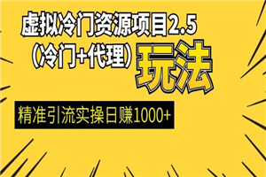 虚拟冷门资源项目2.5（冷门&代理玩法） 精准引流实操日赚1000+-何以博客