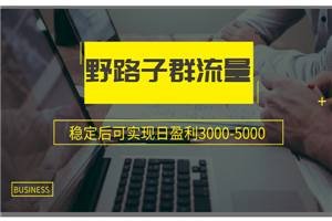 野路子群流量项目：稳定后可实现日盈利3000-5000-何以博客