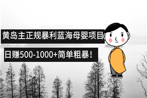 黄岛主正规暴利蓝海母婴项目,日赚500-1000+简单粗暴！-何以博客