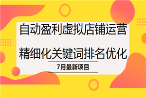 7月项目（3）自动盈利虚拟店铺运营，精细化关键词排名优化-何以博客