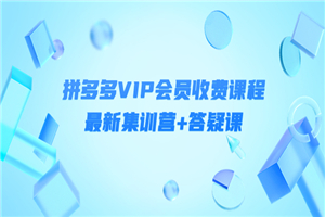 某社群·拼多多VIP会员收费课程，最新集训营+答疑课-价值3000+-何以博客