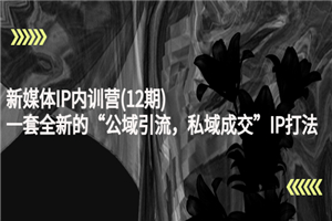 新媒体IP内训营(12期)，一套全新的“公域引流，私域成交”IP打法，直接带走-何以博客