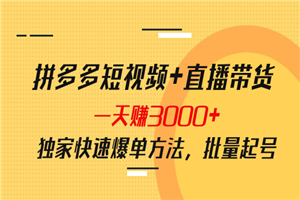 拼多多短视频+直播带货，一天赚3000+独家快速爆单方法，批量起号-何以博客