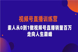 行动派·视频号直播训练营，素人从0到1做视频号直播销量百万，走向人生巅峰-何以博客